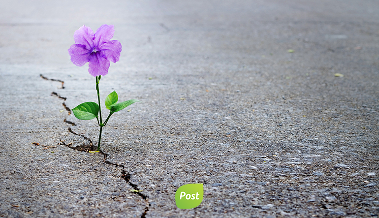 #ChallengeBiodiversité