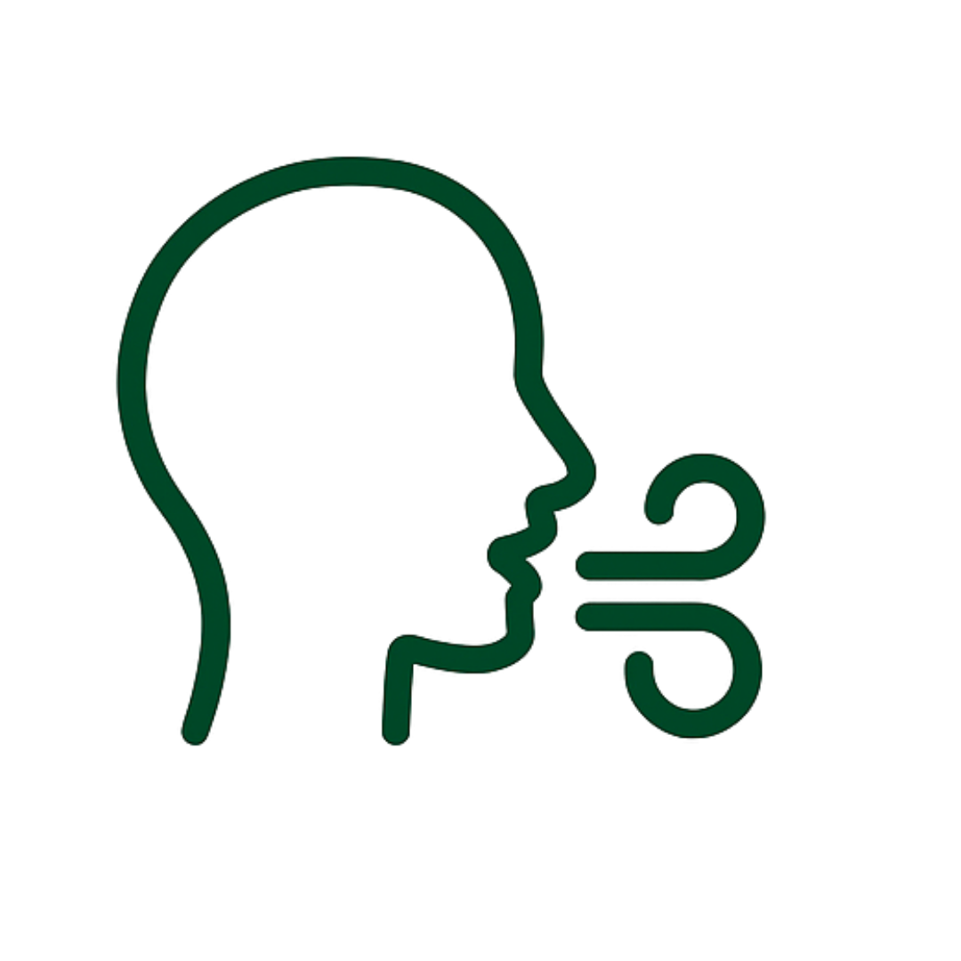 lynfase_blurry_default_light