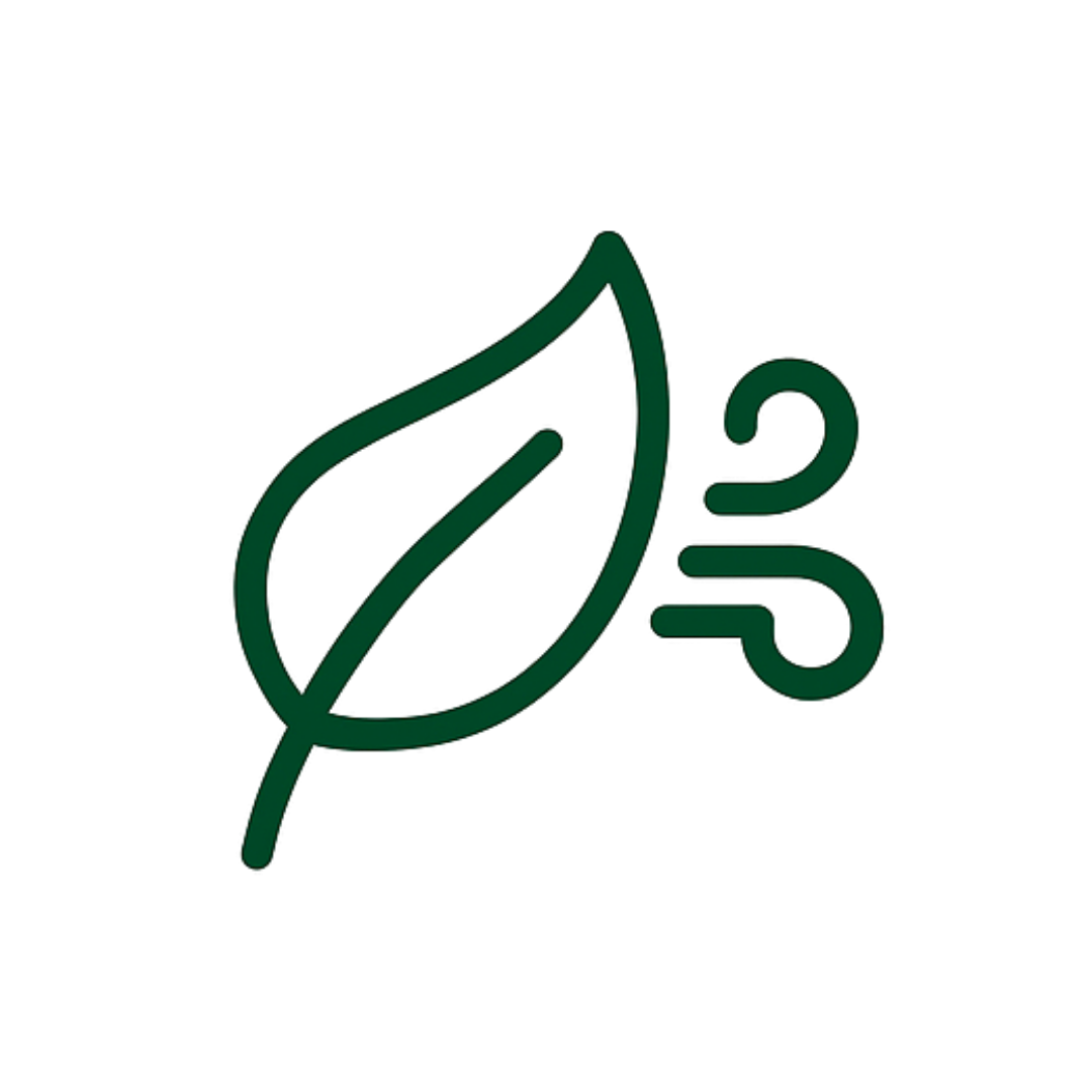 lynfase_blurry_default_light