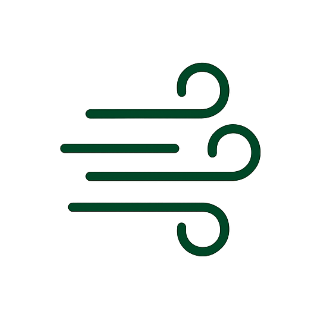 lynfase_blurry_default_light