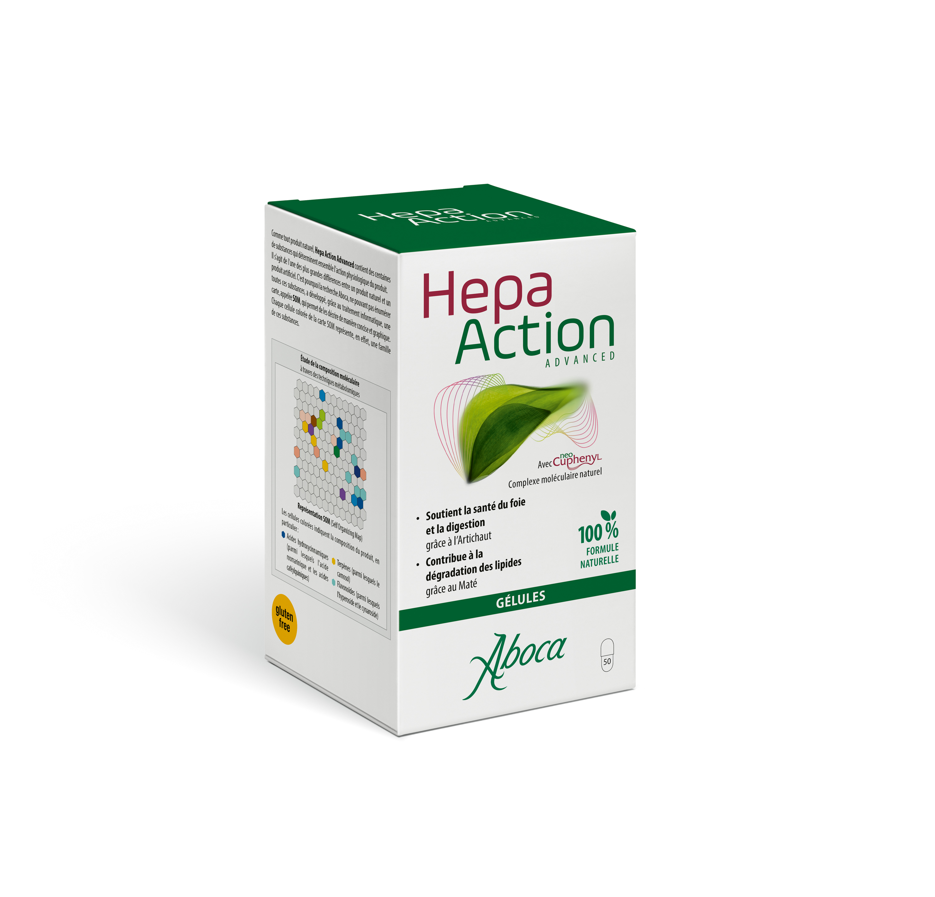 lynfase_blurry_default_light