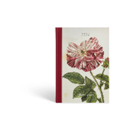 lynfase_blurry_default_light